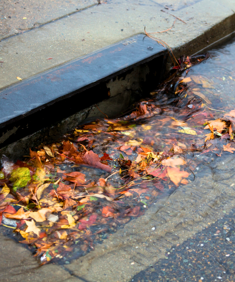 drain-clearance-south-london